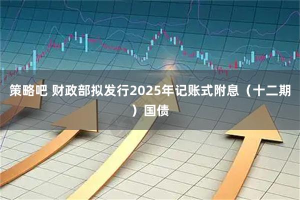 策略吧 财政部拟发行2025年记账式附息（十二期）国债