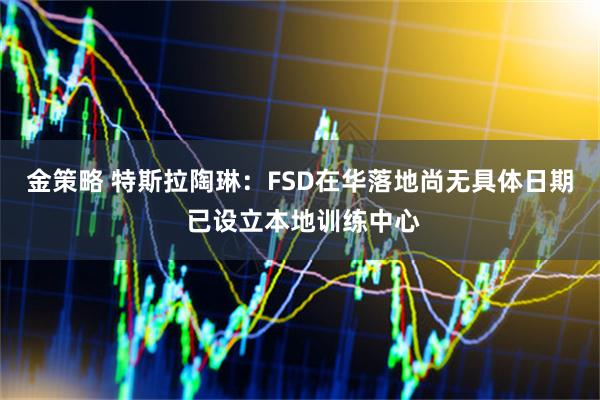 金策略 特斯拉陶琳：FSD在华落地尚无具体日期 已设立本地训练中心